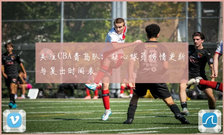 关注CBA青岛队:核心球员伤情更新与复出时间表