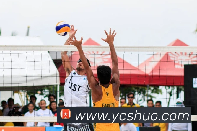 开云官方网页版登录入口平台生态图